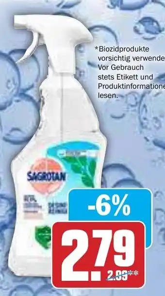 Hit Sagrotan Reinigungsspray Angebot
