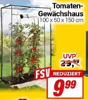 CENTERSHOP Tomaten- Gewächshaus Angebot