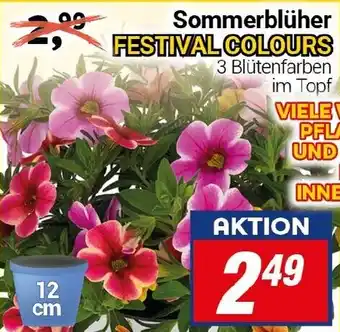 CENTERSHOP Sommerblüher FESTIVAL COLOURS Angebot