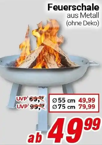 CENTERSHOP Feuerschale Angebot
