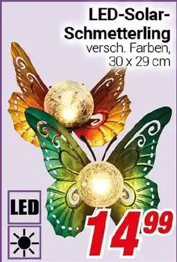 CENTERSHOP LED-Solar- Schmetterling Angebot