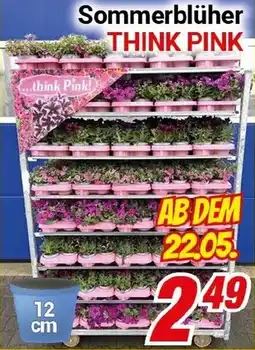 CENTERSHOP Sommerblüher THINK PINK Angebot