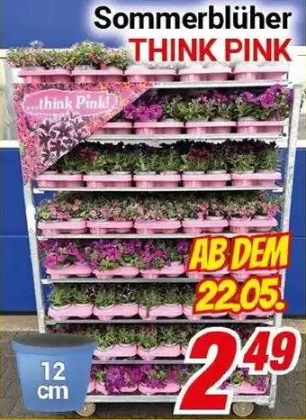 CENTERSHOP Sommerblüher THINK PINK Angebot