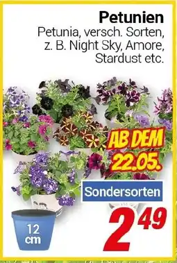 CENTERSHOP Petunien Angebot