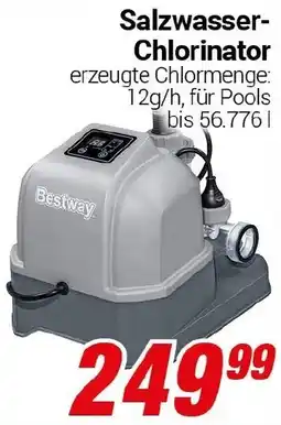 CENTERSHOP Bestway Salzwasser Chlorinator Angebot