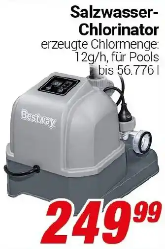 CENTERSHOP Bestway Salzwasser Chlorinator Angebot