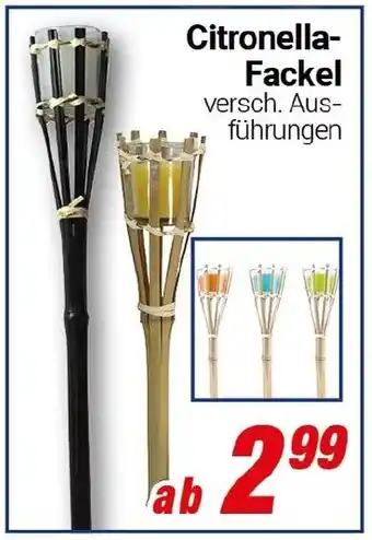CENTERSHOP Citronella Fackel Angebot