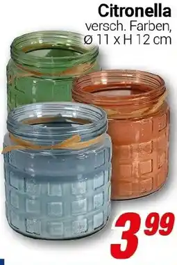 CENTERSHOP Citronella Angebot