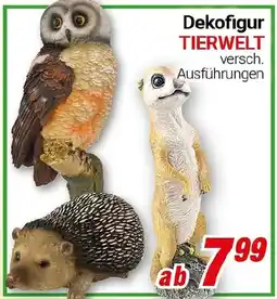 CENTERSHOP Dekofigur TIERWELT Angebot