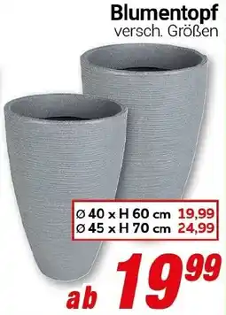 CENTERSHOP Blumentopf Angebot