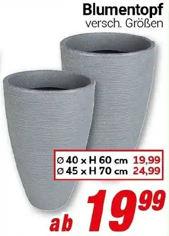CENTERSHOP Blumentopf Angebot