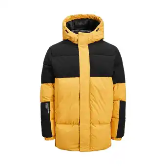 Netto Marken-Discount Jack & Jones Jacke FORCE Steppjacke Angebot