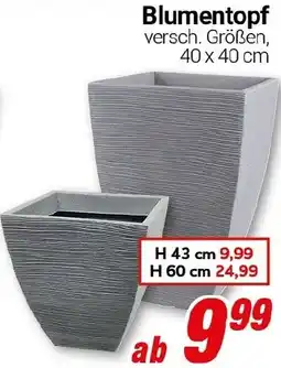 CENTERSHOP Blumentopf Angebot