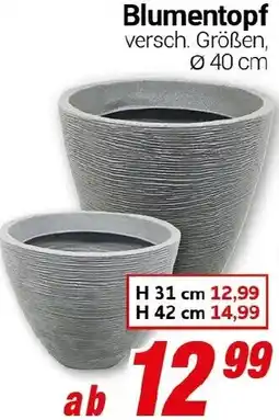 CENTERSHOP Blumentopf Angebot