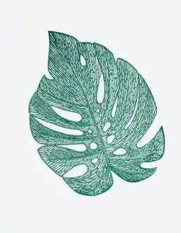 NKD Deko-Deckchen in Monstera-Design, Ø ca. 38cm Angebot