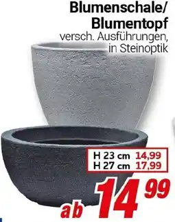 CENTERSHOP Blumenschale/ Blumentopf Angebot