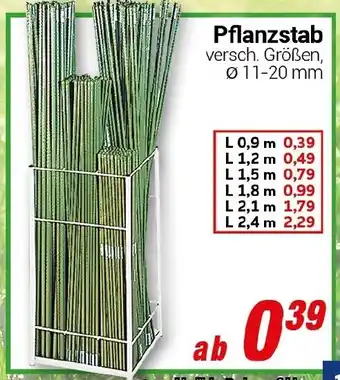 CENTERSHOP Pflanzstab Angebot
