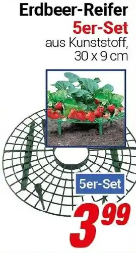 CENTERSHOP Erdbeer-Reifer Angebot