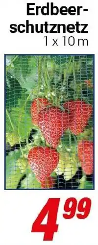 CENTERSHOP Erdbeerschutznetz Angebot