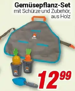 CENTERSHOP GARDENA Gemüsepflanz-Set Angebot