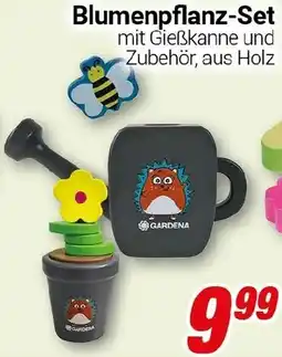 CENTERSHOP GARDENA Blumenpflanz-Set Angebot