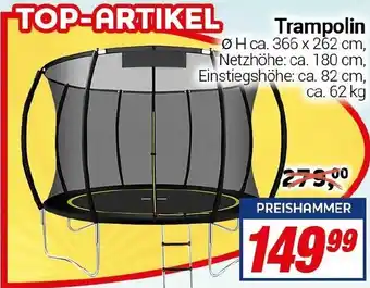CENTERSHOP Trampolin Angebot