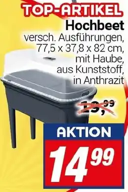 CENTERSHOP Hochbeet Angebot