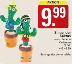 WEZ Singender Kaktus Angebot