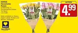 WEZ EDEKA Herzstücke Rosen Angebot
