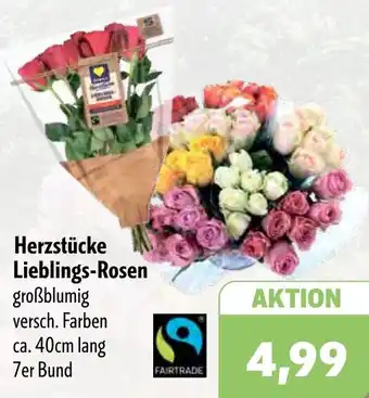 Aktiv Irma Herzstücke Lieblings-Rosen Angebot