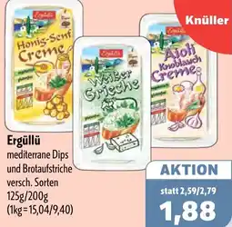 Aktiv Irma Ergüllü mediterrane Dips Angebot