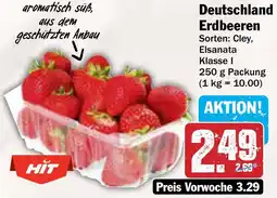 AEZ Deutschland Erdbeeren Angebot