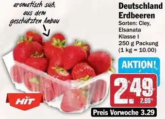 AEZ Deutschland Erdbeeren Angebot