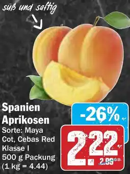 AEZ Spanien Aprikosen Angebot