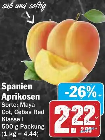 AEZ Spanien Aprikosen Angebot