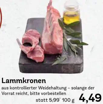 AEZ Lammkronen Angebot