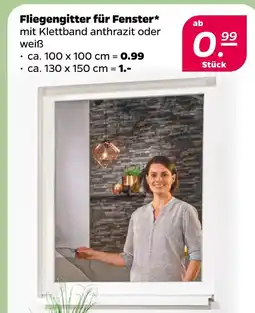 NETTO Fliegengitter für fenster Angebot