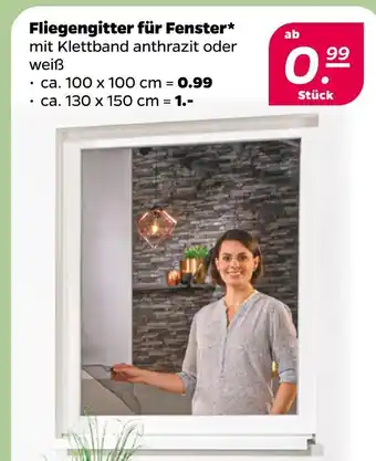 NETTO Fliegengitter für fenster Angebot