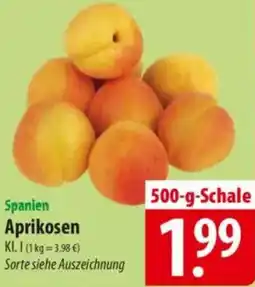 Famila Nord Ost Spanien Aprikosen Angebot