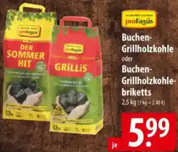 Famila Nord Ost profagus Buchen Grillholzkohle oder Buchen-Grillholzkohlebriketts Angebot