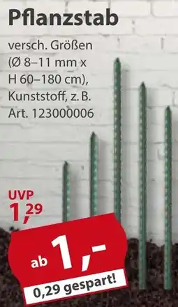 Sonderpreis Baumarkt Pflanzstab Angebot