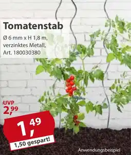 Sonderpreis Baumarkt Tomatenstab Angebot