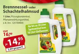 Sonderpreis Baumarkt Brennnessel- oder Schachtelhalmsud Angebot