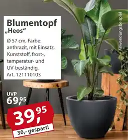 Sonderpreis Baumarkt Blumentopf ,,Heos" Angebot