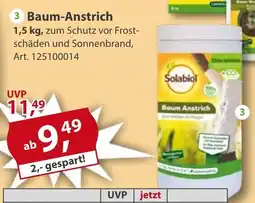 Sonderpreis Baumarkt Solabiol Baum-Anstrich Angebot