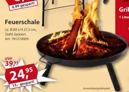 Sonderpreis Baumarkt Feuerschale Angebot