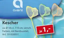 Sonderpreis Baumarkt Kescher Angebot