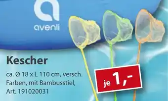 Sonderpreis Baumarkt Kescher Angebot