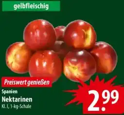 Famila Nord Ost Spanien Nektarinen Angebot
