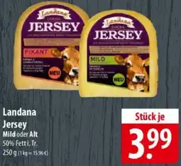 Famila Nord Ost Landana Jersey Angebot
